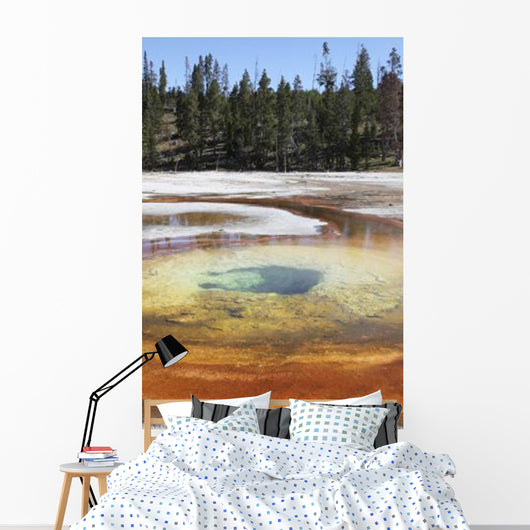 Chromatic Pool Hot Spring Wall Decal Design 3
