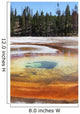 Chromatic Pool Hot Spring Wall Decal Design 3
