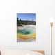 Morning Glory Pool Hot Wall Decal Design 2
