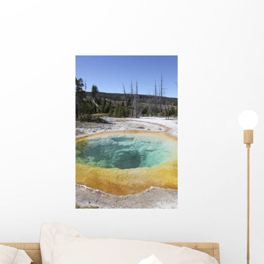 Morning Glory Pool Hot Wall Decal Design 2