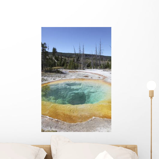 Morning Glory Pool Hot Wall Decal Design 2