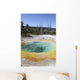 Morning Glory Pool Hot Wall Decal Design 2