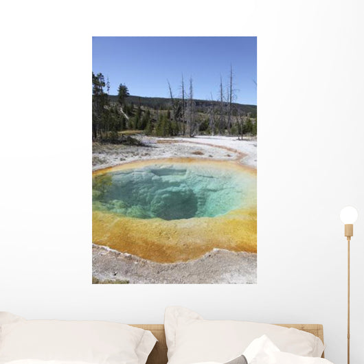 Morning Glory Pool Hot Wall Decal Design 2