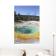 Morning Glory Pool Hot Wall Decal Design 2