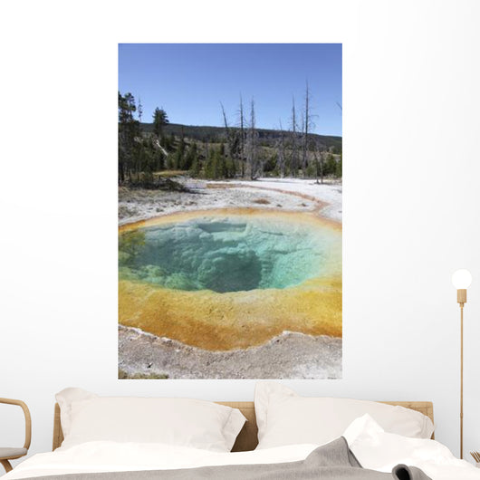 Morning Glory Pool Hot Wall Decal Design 2