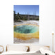 Morning Glory Pool Hot Wall Decal Design 2