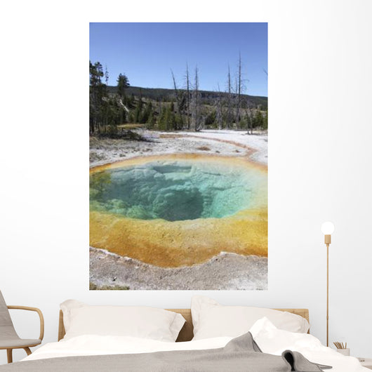 Morning Glory Pool Hot Wall Decal Design 2
