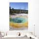 Morning Glory Pool Hot Wall Decal Design 2