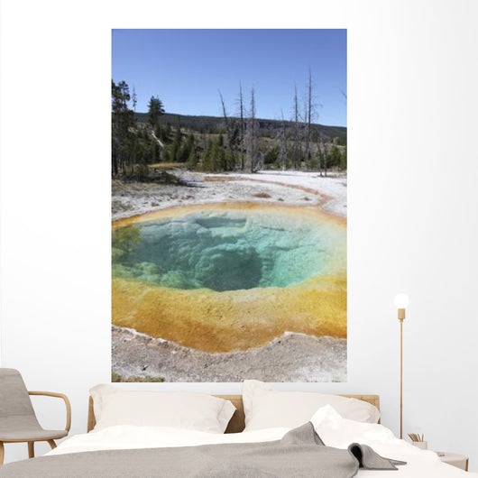 Morning Glory Pool Hot Wall Decal Design 2