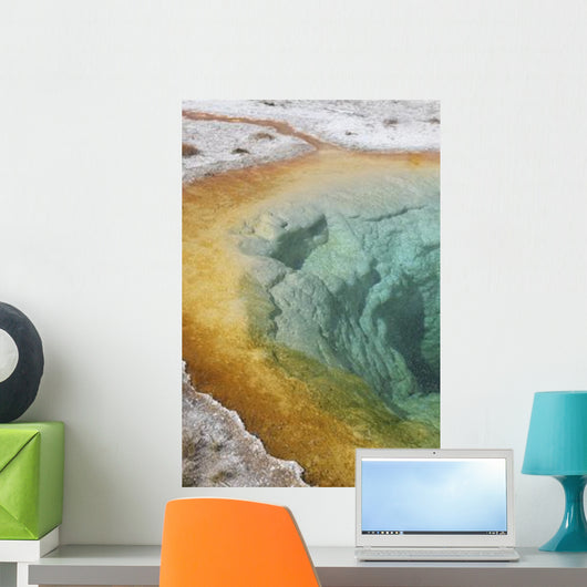 Morning Glory Pool Hot Wall Decal Design 1