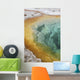 Morning Glory Pool Hot Wall Decal Design 1
