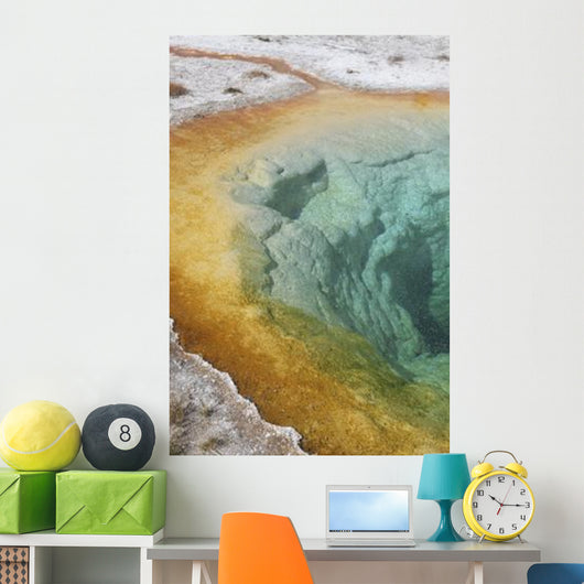 Morning Glory Pool Hot Wall Decal Design 1