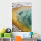 Morning Glory Pool Hot Wall Decal Design 1