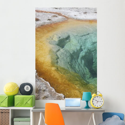 Morning Glory Pool Hot Wall Decal Design 1