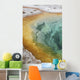 Morning Glory Pool Hot Wall Decal Design 1