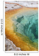 Morning Glory Pool Hot Wall Decal Design 1