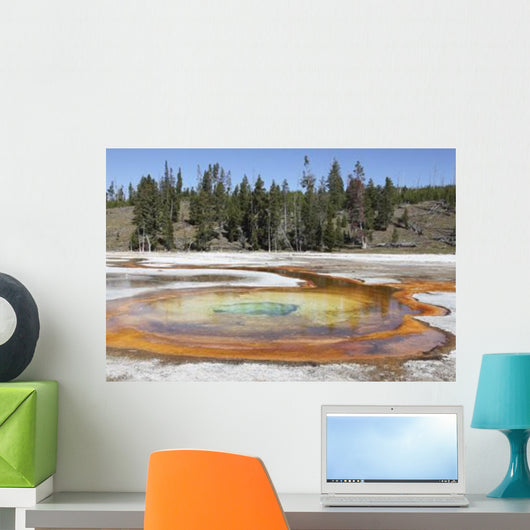 Chromatic Pool Hot Spring Wall Decal Design 2