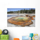 Chromatic Pool Hot Spring Wall Decal Design 1