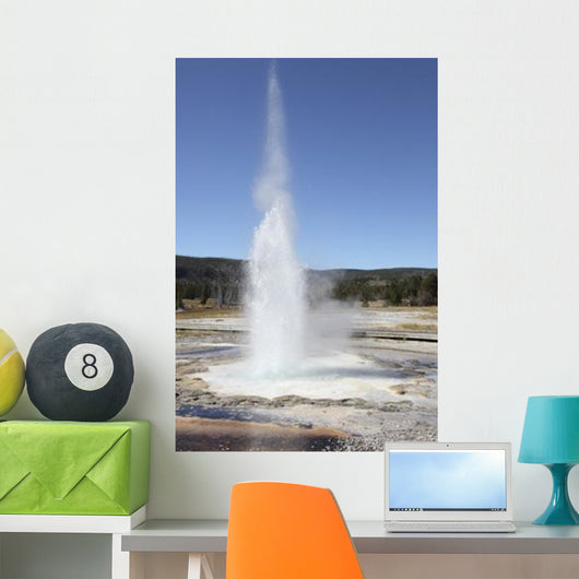 Sawmill Geyser Upper Geyser Wall Decal