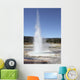 Sawmill Geyser Upper Geyser Wall Decal