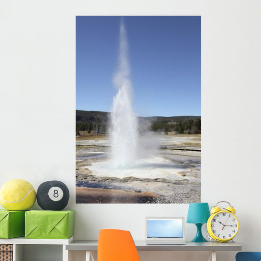 Sawmill Geyser Upper Geyser Wall Decal