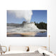 Castle Geyser Steam Phase Wall Decal