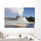 Castle Geyser Steam Phase Wall Decal