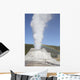 Castle Geyser Eruption Upper Wall Decal Design 2