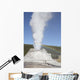 Castle Geyser Eruption Upper Wall Decal Design 2