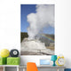 Castle Geyser Eruption Upper Wall Decal Design 1