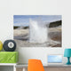 Plume Geyser Eruption Upper Wall Decal