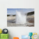 Plume Geyser Eruption Upper Wall Decal