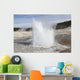 Plume Geyser Eruption Upper Wall Decal
