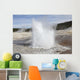 Plume Geyser Eruption Upper Wall Decal