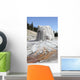 Lone Star Geyser Geyserite Wall Decal Design 2