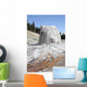 Lone Star Geyser Geyserite Wall Decal Design 2