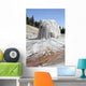 Lone Star Geyser Geyserite Wall Decal Design 2