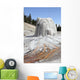 Lone Star Geyser Geyserite Wall Decal Design 2