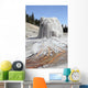 Lone Star Geyser Geyserite Wall Decal Design 2