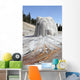Lone Star Geyser Geyserite Wall Decal Design 2