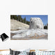 Lone Star Geyser Geyserite Wall Decal Design 1