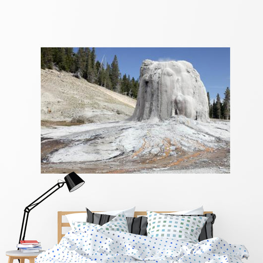 Lone Star Geyser Geyserite Wall Decal Design 1