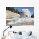 Lone Star Geyser Geyserite Wall Decal Design 1