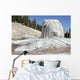 Lone Star Geyser Geyserite Wall Decal Design 1