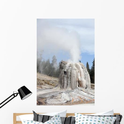 Lone Star Geyser Erupting Wall Decal