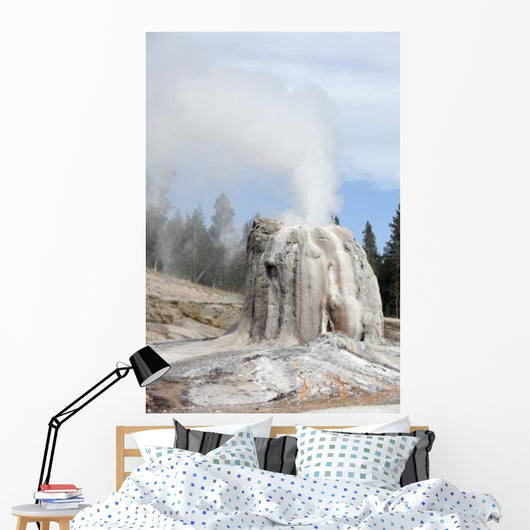 Lone Star Geyser Erupting Wall Decal
