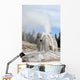 Lone Star Geyser Erupting Wall Decal