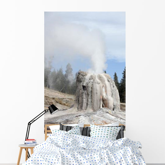 Lone Star Geyser Erupting Wall Decal