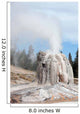 Lone Star Geyser Erupting Wall Decal