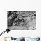 Mud Volcano Hot Spring Wall Decal